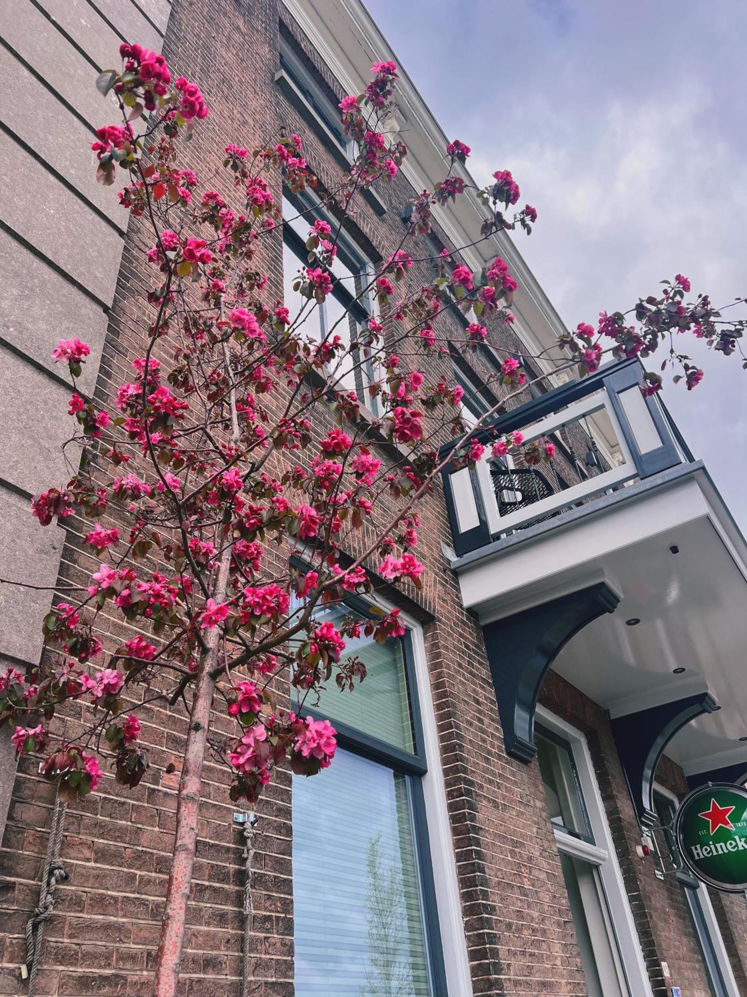 Hotel Loskade 45 Middelburg Esterno foto